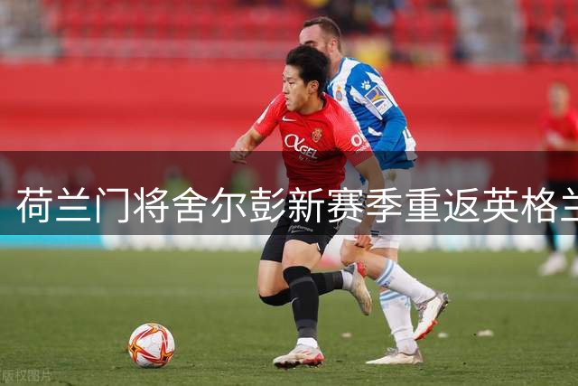 荷兰门将舍尔彭新赛季重返英格兰赛场
