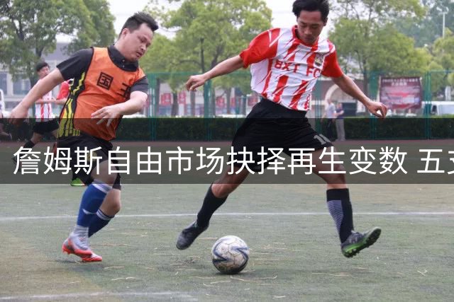 詹姆斯自由市场抉择再生变数 五支争冠球队展开终极博弈